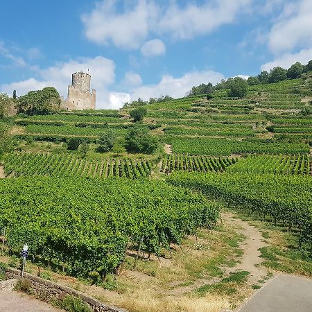 Kaysersberg City Center - Cote Vignoble - Exteriér fotografie